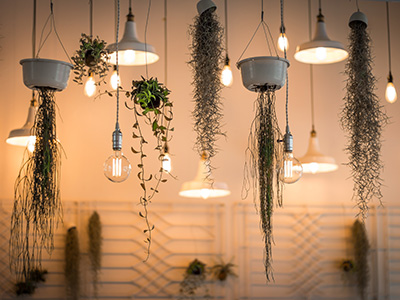 ddos攻击器安卓ios下载